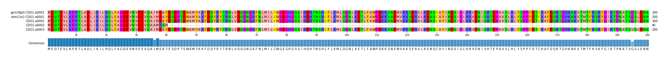 Multiple Alignments (by translate haplotype frequency)