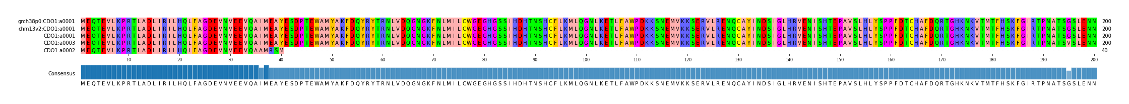 Multiple Alignments (by translate haplotype similarity)