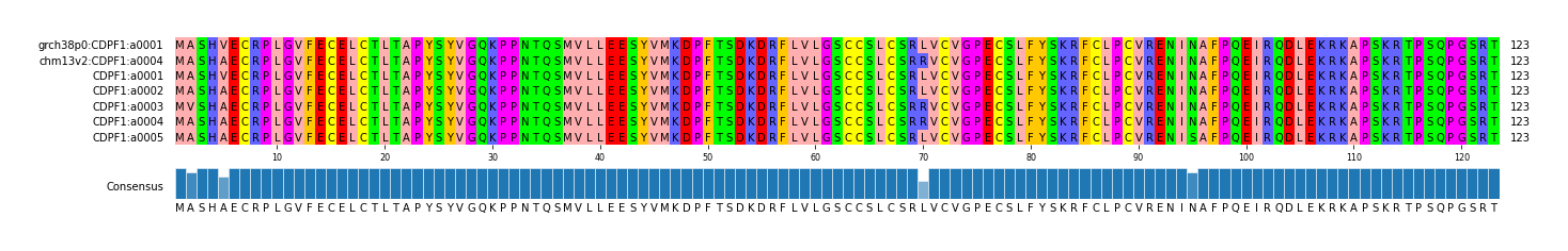 Multiple Alignments (by translate haplotype frequency)