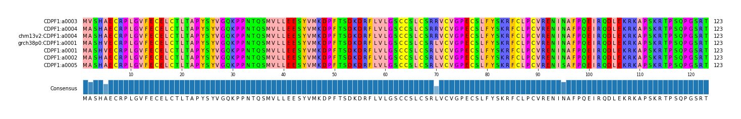 Multiple Alignments (by translate haplotype similarity)