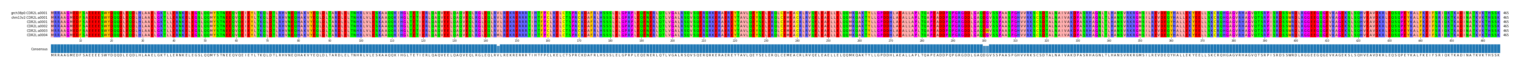 Multiple Alignments (by translate haplotype frequency)
