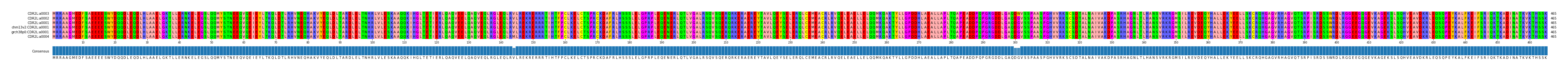 Multiple Alignments (by translate haplotype similarity)