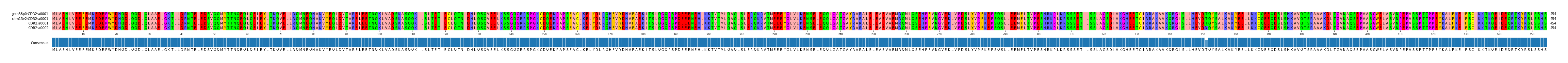 Multiple Alignments (by translate haplotype similarity)
