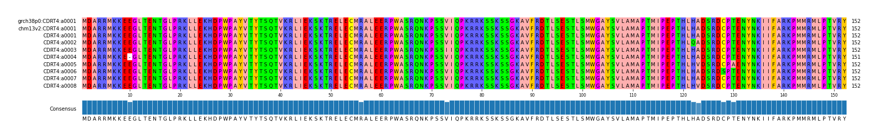 Multiple Alignments (by translate haplotype frequency)