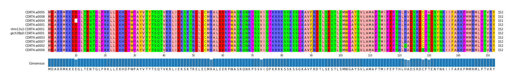 Multiple Alignments (by translate haplotype similarity)