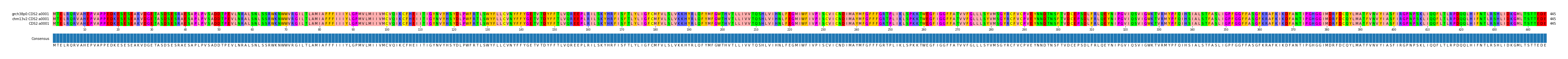 Multiple Alignments (by translate haplotype similarity)