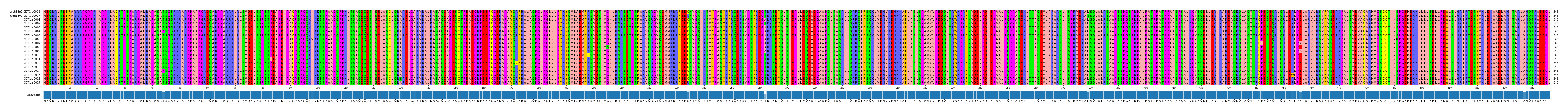 Multiple Alignments (by translate haplotype frequency)