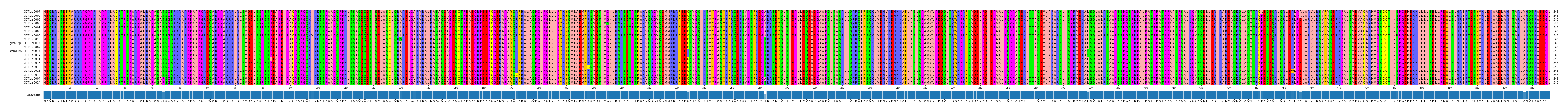 Multiple Alignments (by translate haplotype similarity)