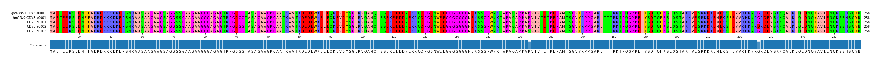 Multiple Alignments (by translate haplotype frequency)