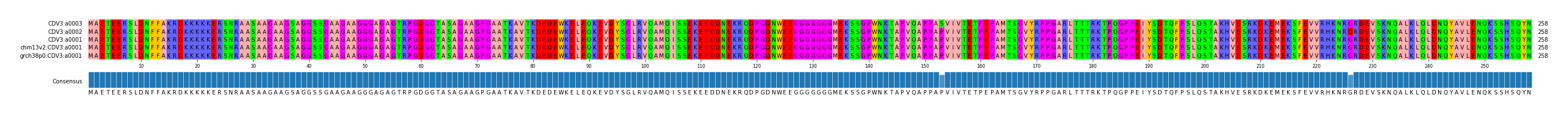 Multiple Alignments (by translate haplotype similarity)