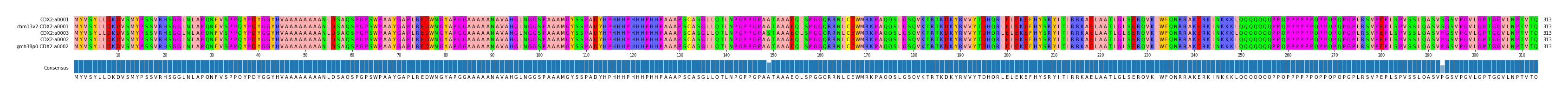 Multiple Alignments (by translate haplotype similarity)