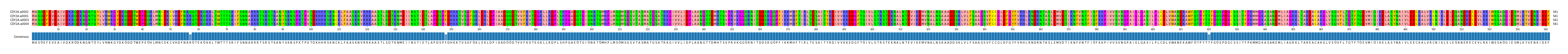 Multiple Alignments (by translate haplotype similarity)