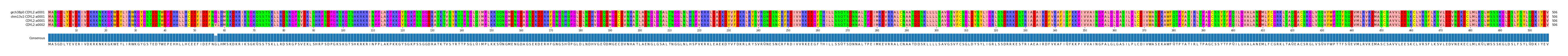 Multiple Alignments (by translate haplotype similarity)
