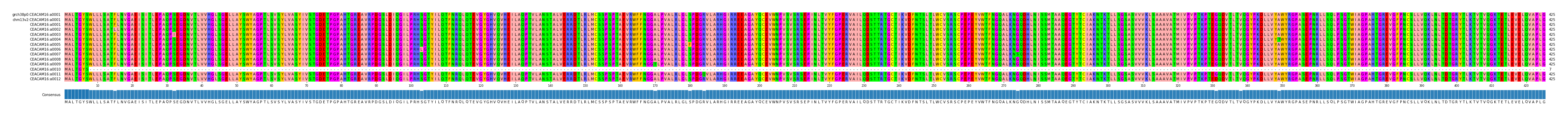 Multiple Alignments (by translate haplotype frequency)