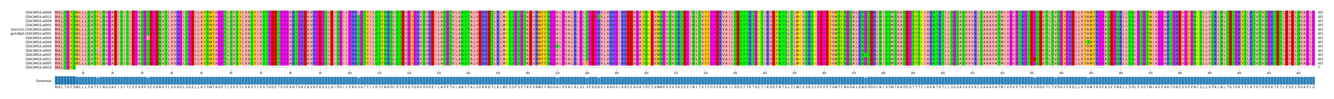 Multiple Alignments (by translate haplotype similarity)