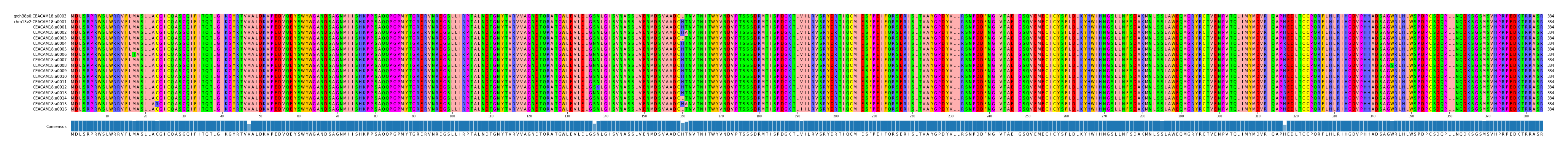 Multiple Alignments (by translate haplotype frequency)