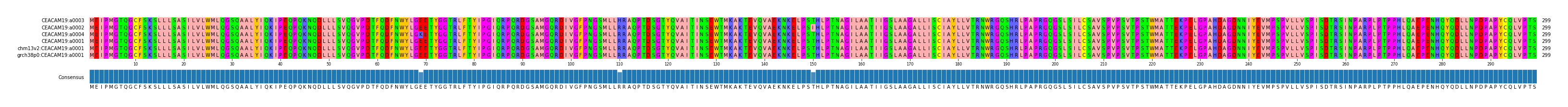 Multiple Alignments (by translate haplotype similarity)