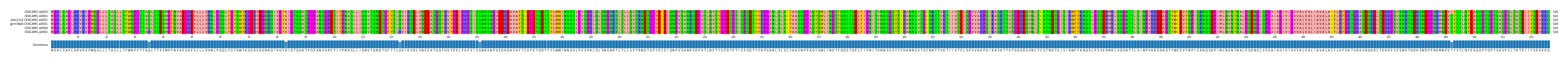 Multiple Alignments (by translate haplotype similarity)