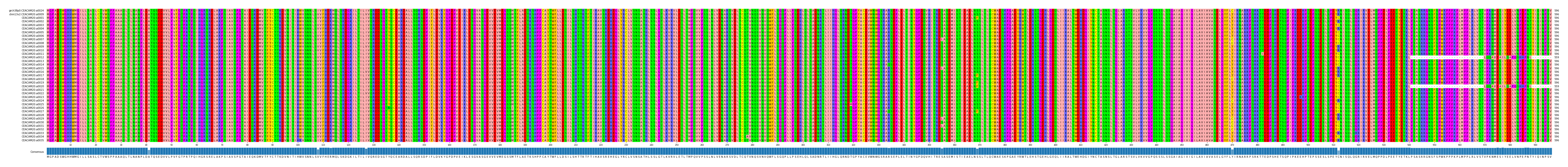 Multiple Alignments (by translate haplotype frequency)