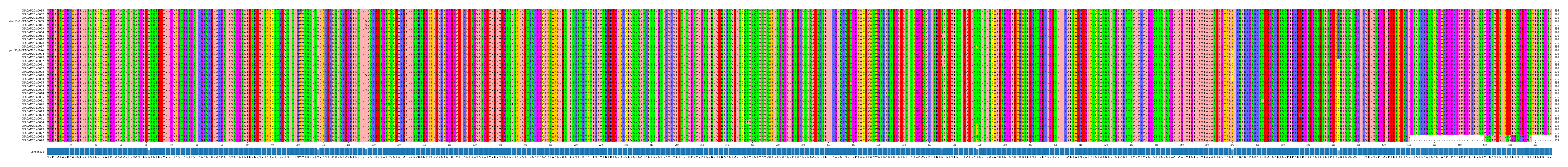 Multiple Alignments (by translate haplotype similarity)