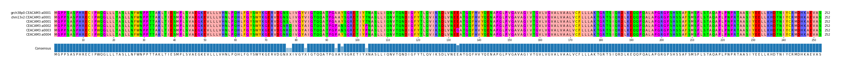 Multiple Alignments (by translate haplotype similarity)