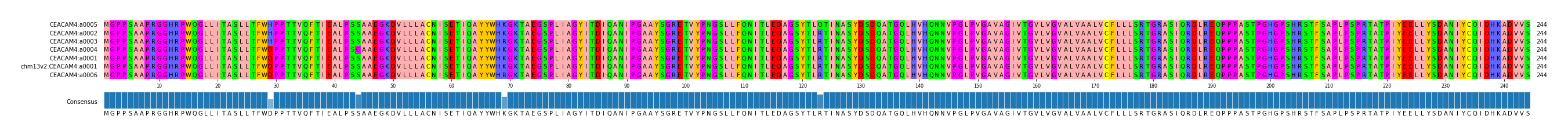 Multiple Alignments (by translate haplotype similarity)