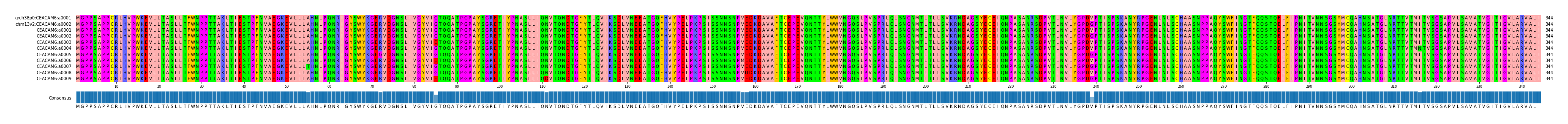 Multiple Alignments (by translate haplotype frequency)