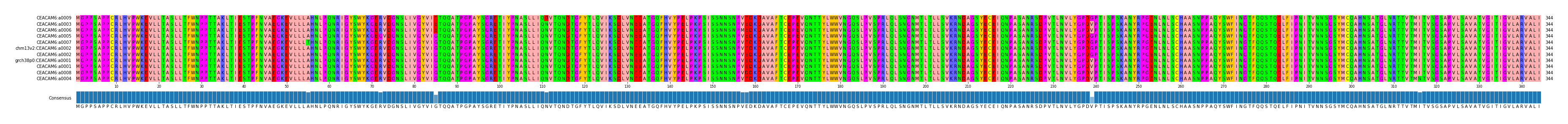 Multiple Alignments (by translate haplotype similarity)