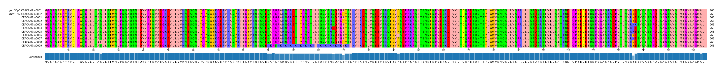 Multiple Alignments (by translate haplotype frequency)