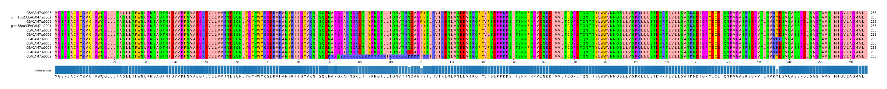 Multiple Alignments (by translate haplotype similarity)