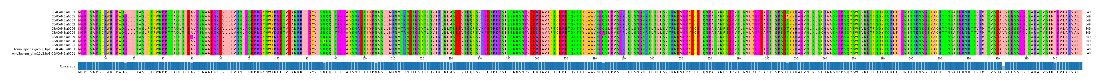 Multiple Alignments (by translate haplotype similarity)