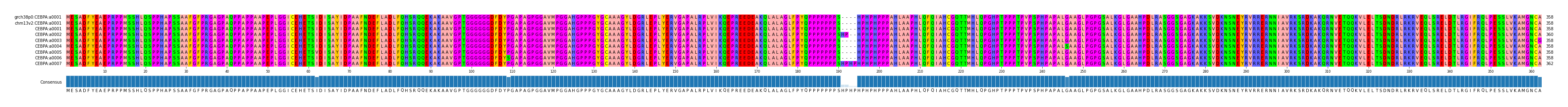 Multiple Alignments (by translate haplotype frequency)