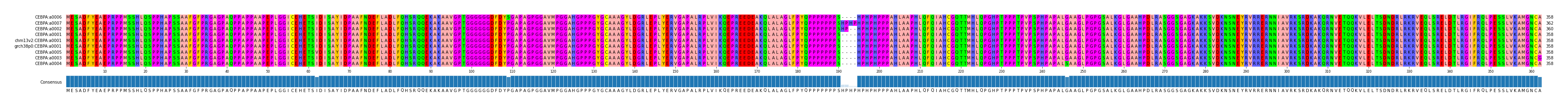 Multiple Alignments (by translate haplotype similarity)