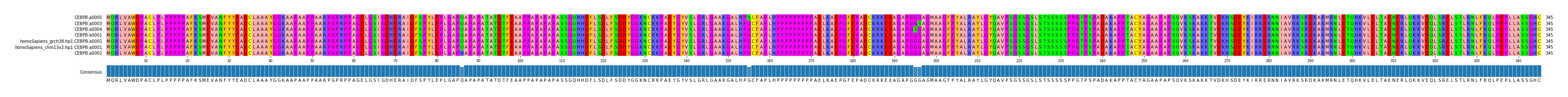 Multiple Alignments (by translate haplotype similarity)