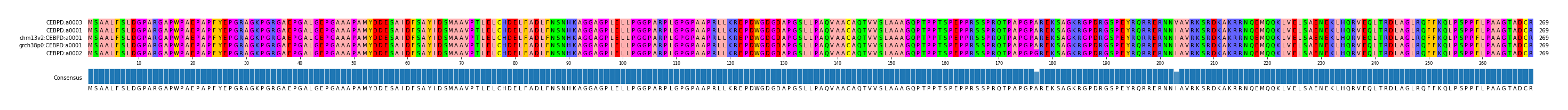 Multiple Alignments (by translate haplotype similarity)