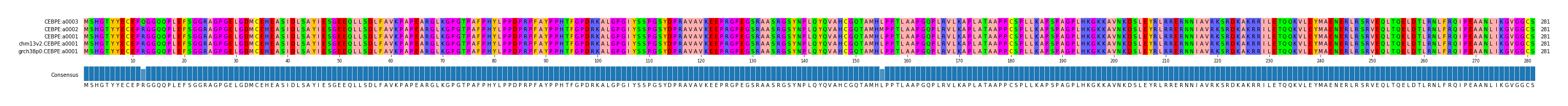 Multiple Alignments (by translate haplotype similarity)