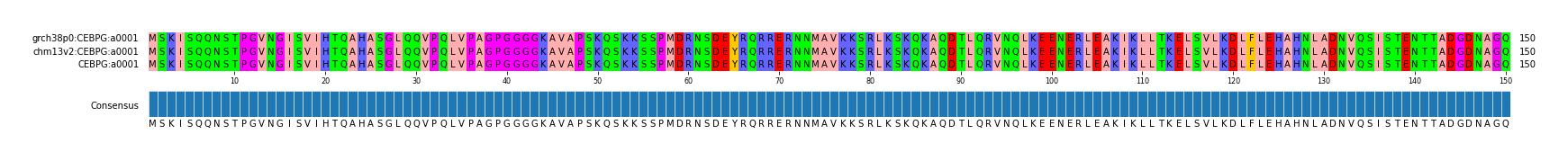 Multiple Alignments (by translate haplotype similarity)
