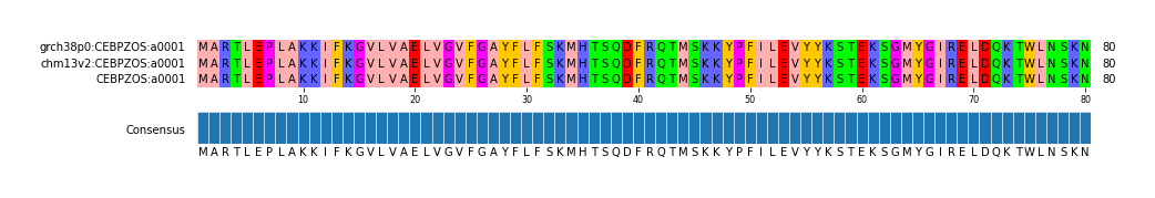 Multiple Alignments (by translate haplotype similarity)