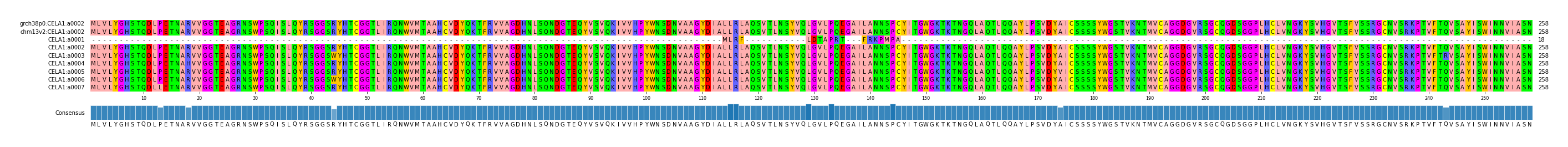 Multiple Alignments (by translate haplotype frequency)