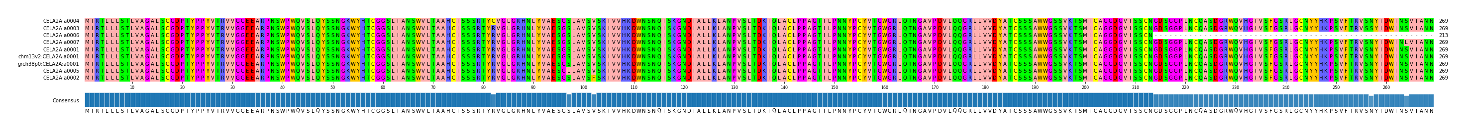 Multiple Alignments (by translate haplotype similarity)