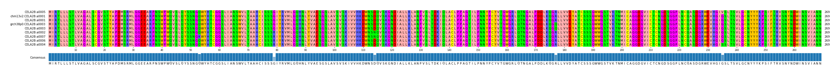 Multiple Alignments (by translate haplotype similarity)