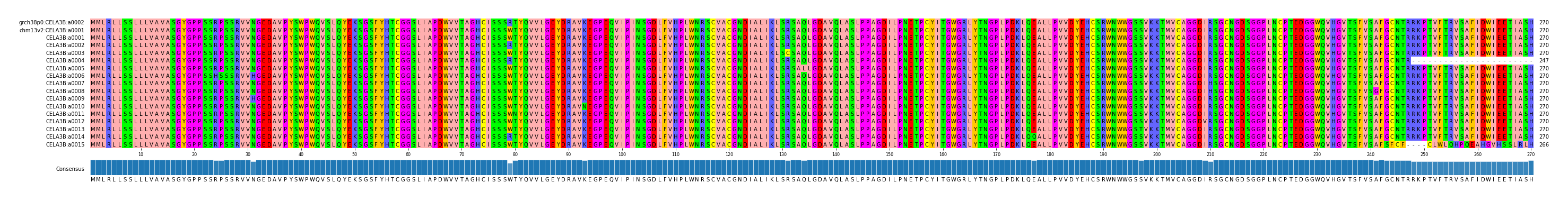 Multiple Alignments (by translate haplotype frequency)