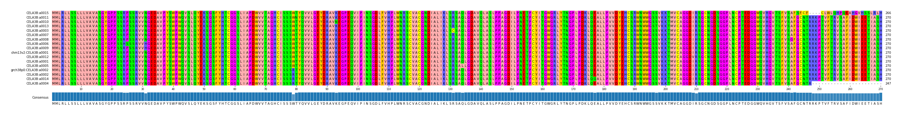 Multiple Alignments (by translate haplotype similarity)