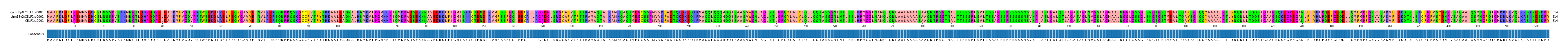 Multiple Alignments (by translate haplotype similarity)
