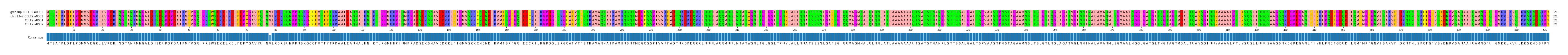 Multiple Alignments (by translate haplotype similarity)