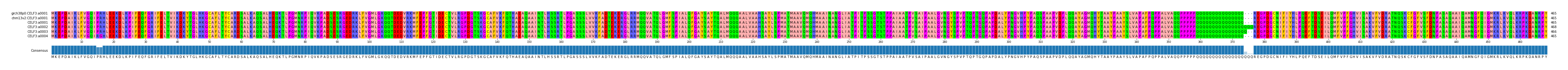 Multiple Alignments (by translate haplotype similarity)