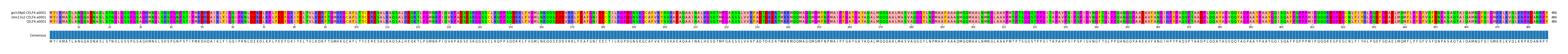 Multiple Alignments (by translate haplotype similarity)