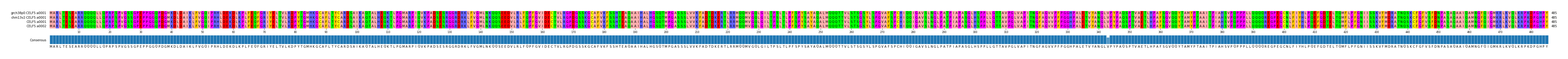 Multiple Alignments (by translate haplotype similarity)