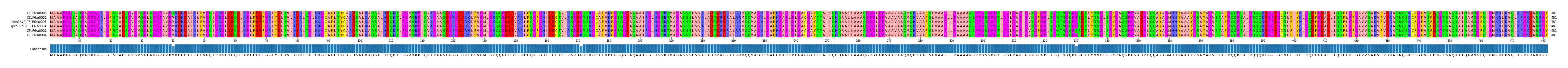 Multiple Alignments (by translate haplotype similarity)