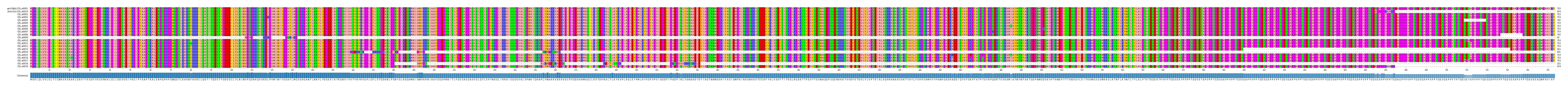 Multiple Alignments (by translate haplotype frequency)